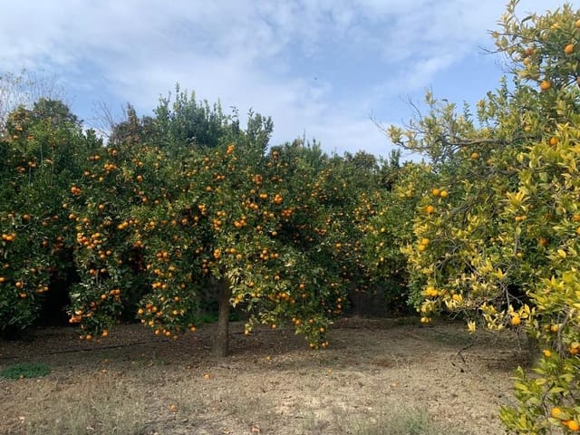 Finca/Casa di Campagna in vendita in Lecrín - 56.000 € (Rif: 7367243)