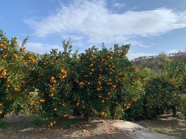 Finca/Casa di Campagna in vendita in Lecrín - 56.000 € (Rif: 7367243)