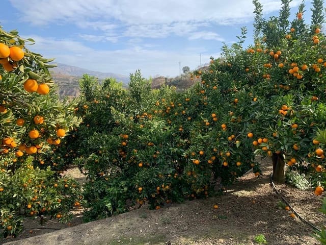 Finca/Casa di Campagna in vendita in Lecrín - 56.000 € (Rif: 7367243)