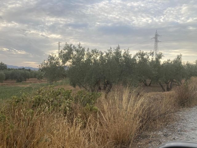 Finca/Landehus til salg i Albolote - € 34.900 (Ref: 7476110)