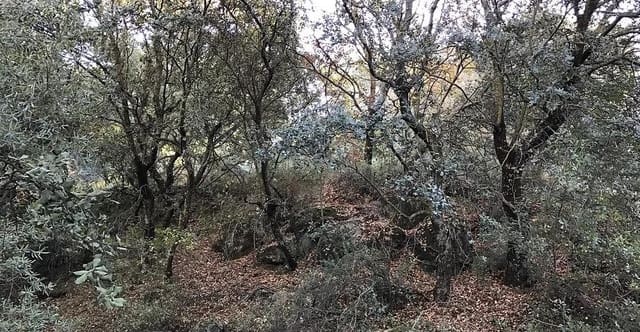 Area Edificabile in vendita in Dúdar - 60.000 € (Rif: 7521957)