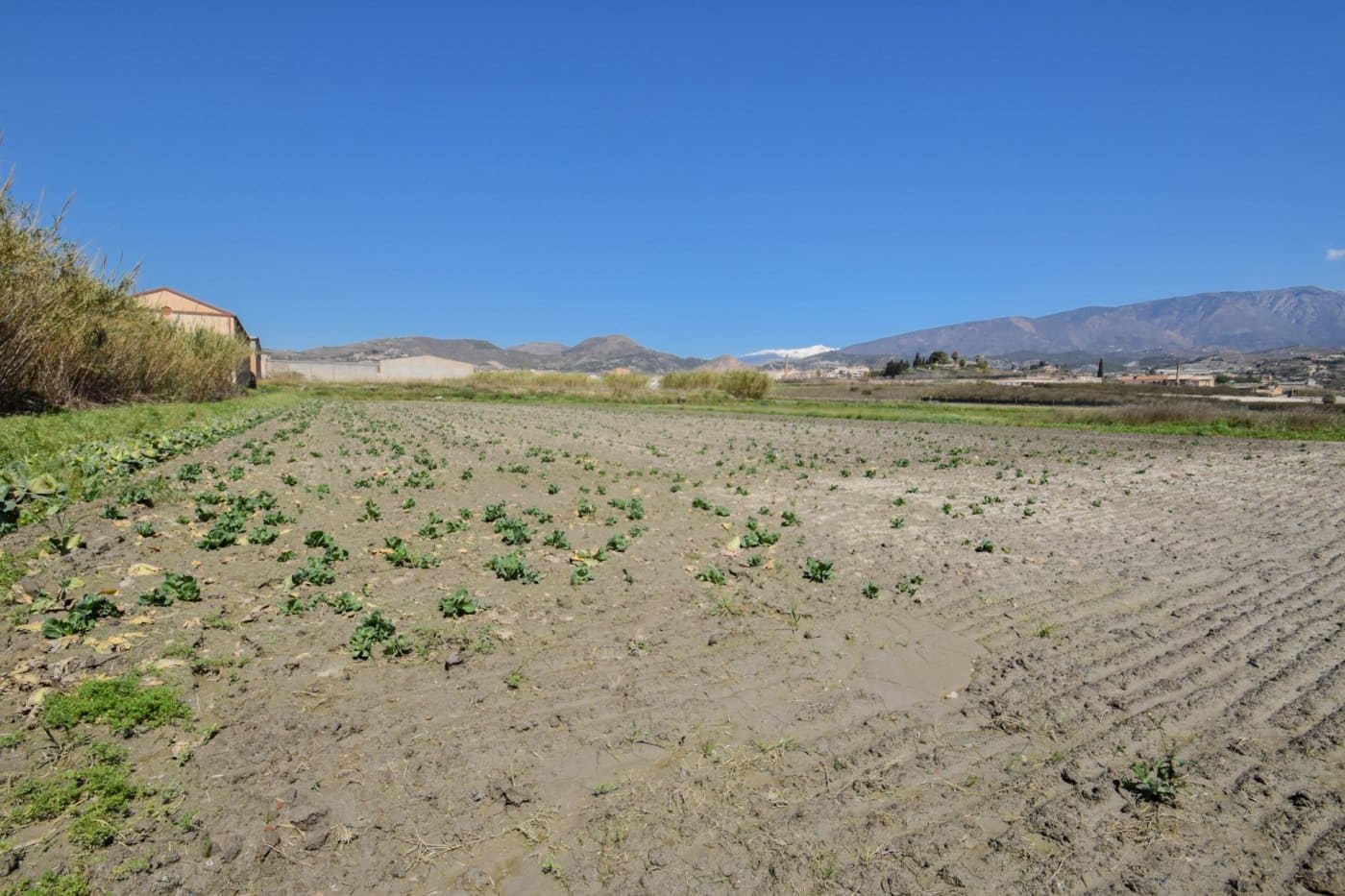 Byggetomt til salgs i Motril - € 420 000 (Ref: 7603452)