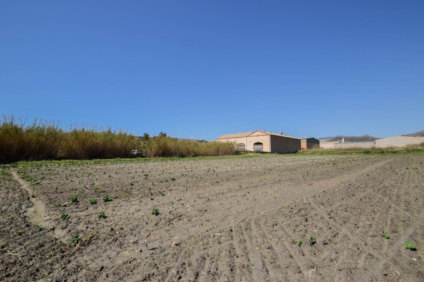 Byggetomt til salgs i Motril - € 420 000 (Ref: 7603452)