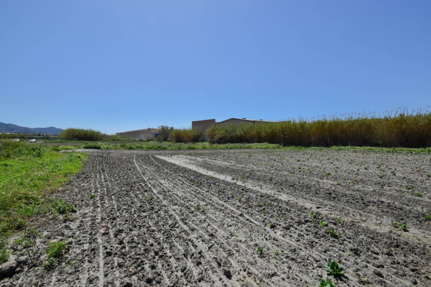 Byggetomt til salgs i Motril - € 420 000 (Ref: 7603452)