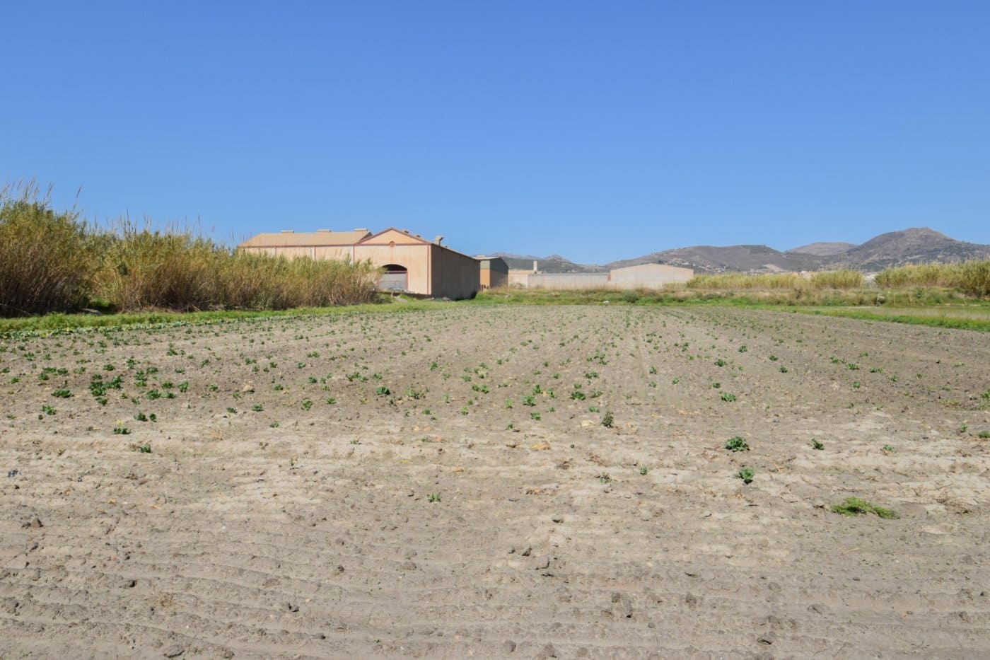 Byggetomt til salgs i Motril - € 420 000 (Ref: 7603452)