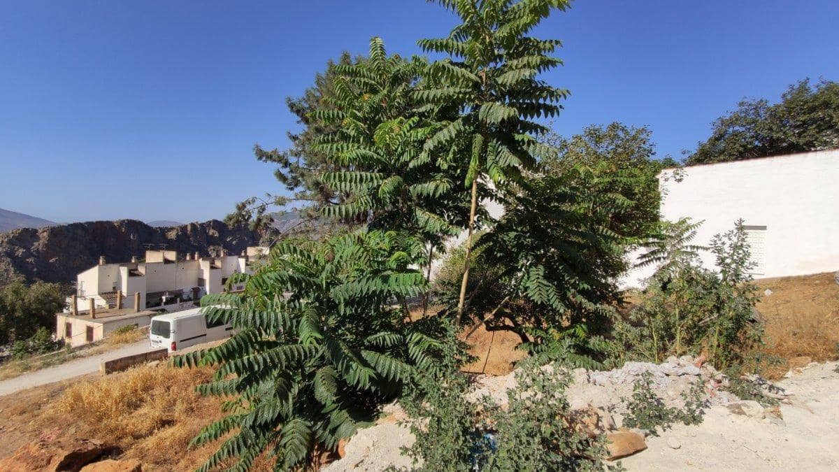 Byggegrund til salg i Lanjaron - € 69.900 (Ref: 7603454)