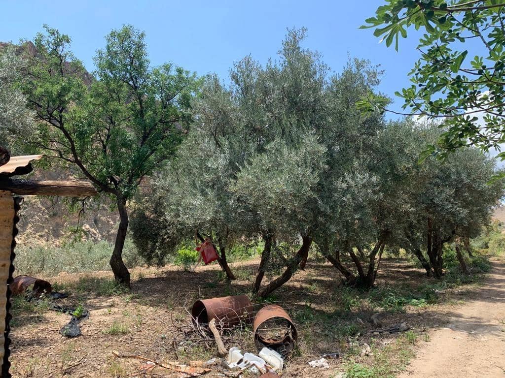 Ubebygd land til salgs i Lanjaron - € 79 900 (Ref: 7641153)