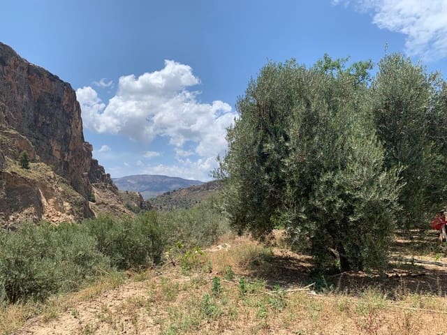 Undeveloped Land for sale in Lanjarón - € 79,900 (Ref: 7641153)