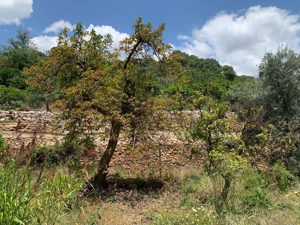 Ubebygd land til salgs i Lanjaron - € 79 900 (Ref: 7641153)