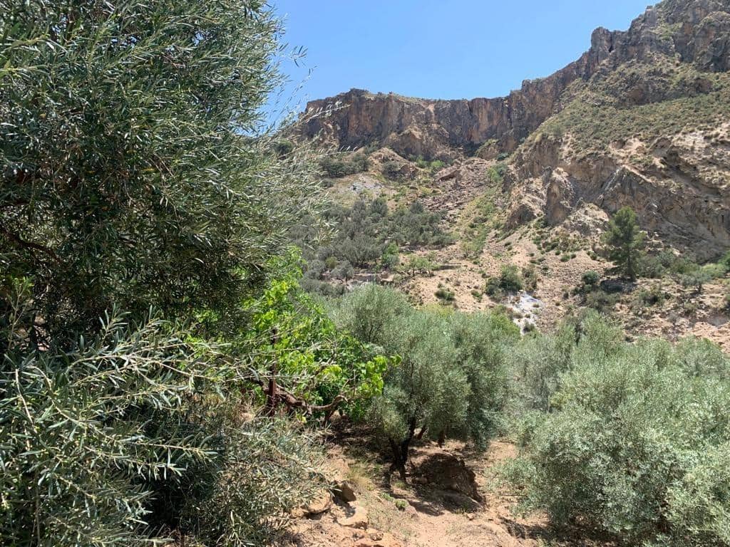 Ubebygd land til salgs i Lanjaron - € 79 900 (Ref: 7641153)