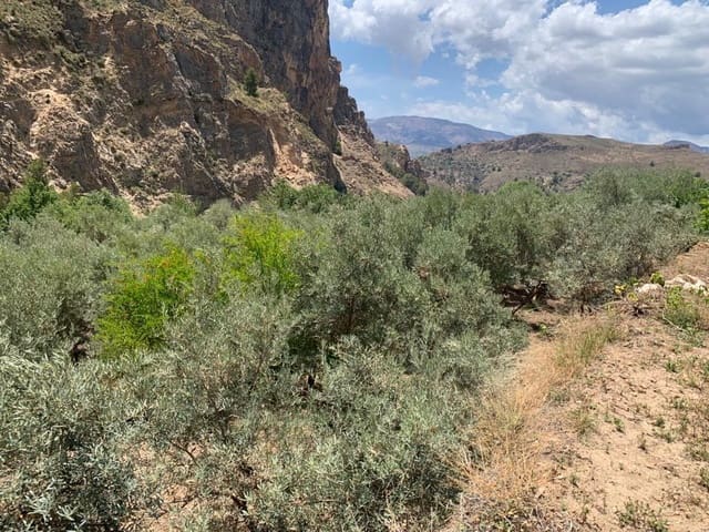 Undeveloped Land for sale in Lanjarón - € 79,900 (Ref: 7641153)