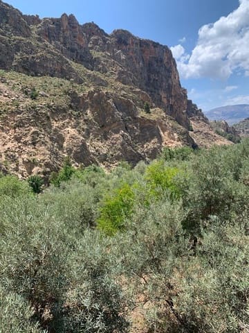 Undeveloped Land for sale in Lanjarón - € 79,900 (Ref: 7641153)