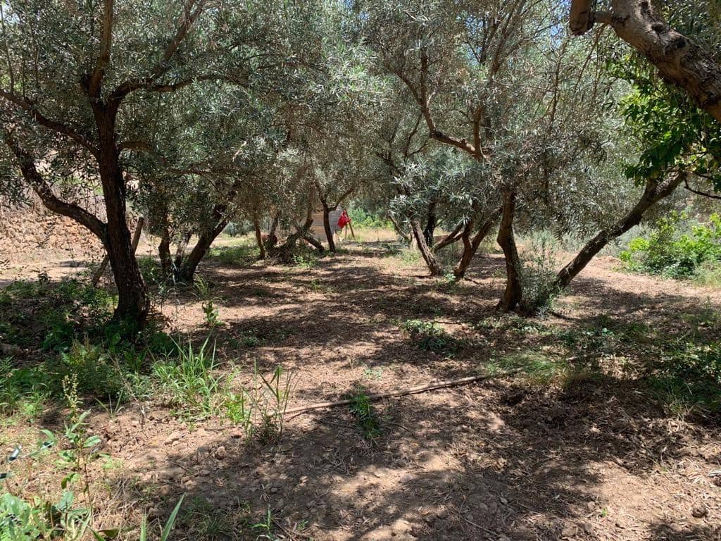 Ubebygd land til salgs i Lanjaron - € 79 900 (Ref: 7641153)