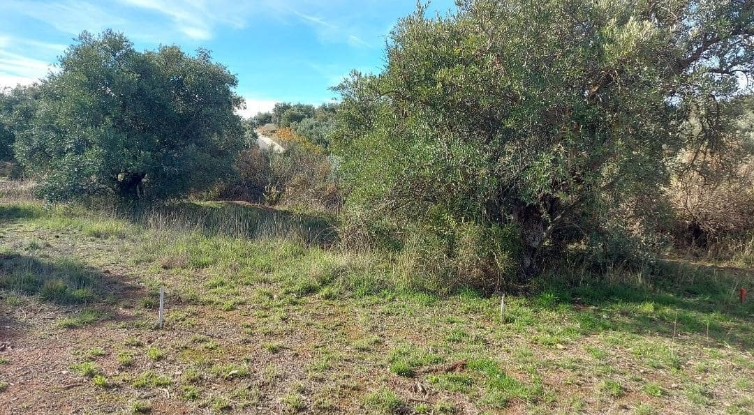 Byggegrund til salg i Nivar - € 40.000 (Ref: 7911709)