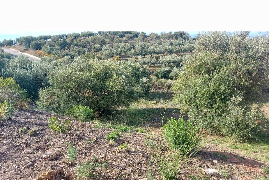 Byggegrund til salg i Nivar - € 40.000 (Ref: 7911709)