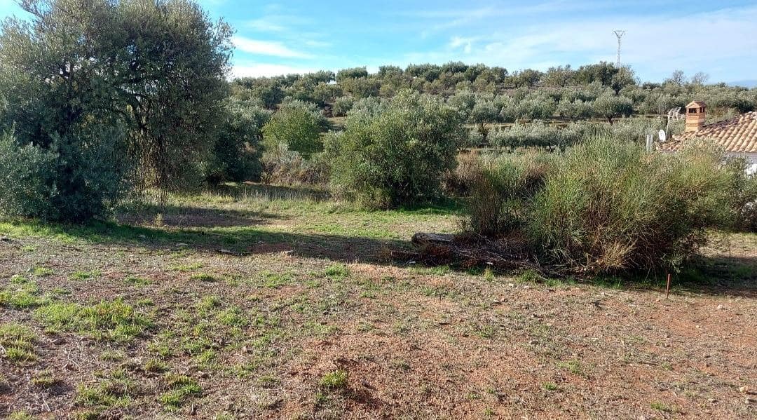 Byggegrund til salg i Nivar - € 40.000 (Ref: 7911709)