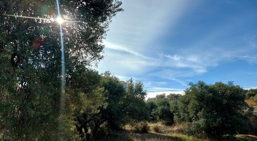 Byggegrund til salg i Nivar - € 40.000 (Ref: 7911709)