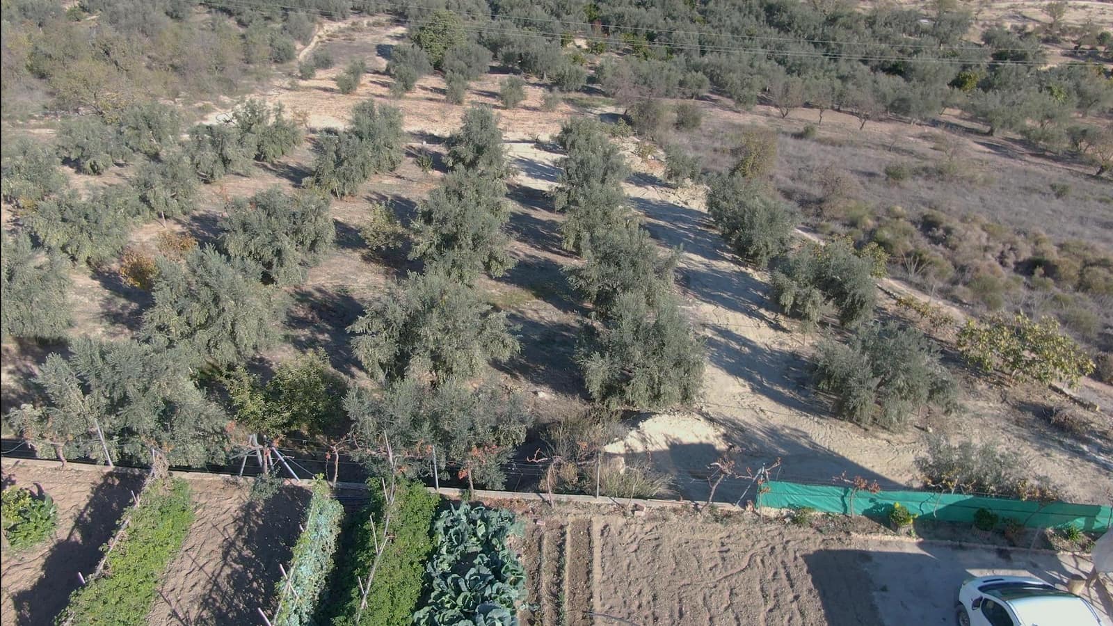 3 soveværelse Villa til salg i El Valle med swimmingpool - € 319.000 (Ref: 7957724)