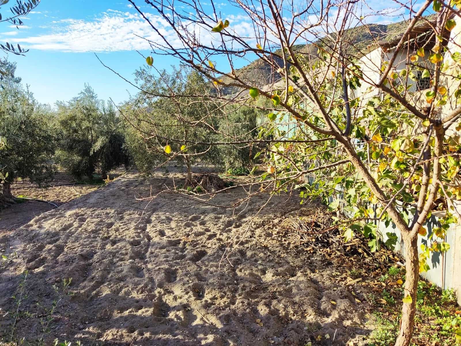 Grunde uden byggetilladelser til salg i Padul - € 250.000 (Ref: 7957731)