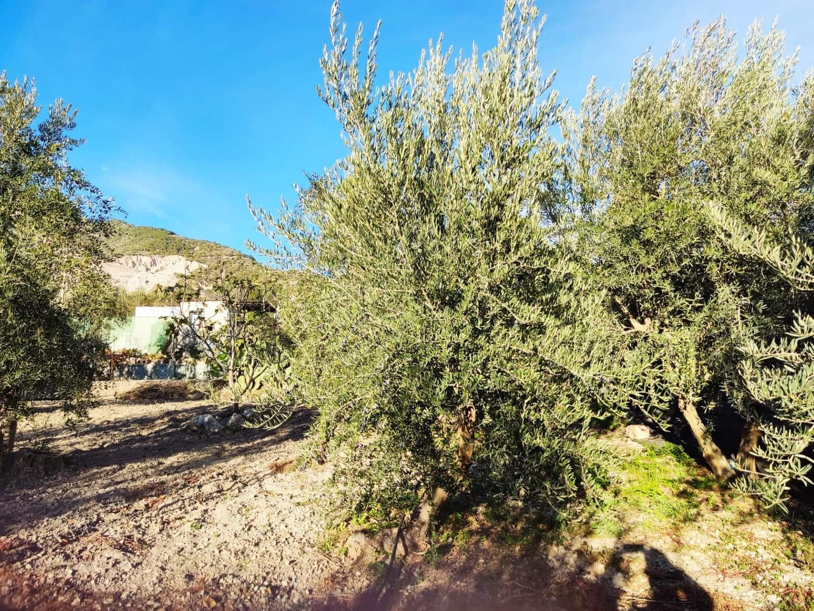 Grunde uden byggetilladelser til salg i Padul - € 250.000 (Ref: 7957731)