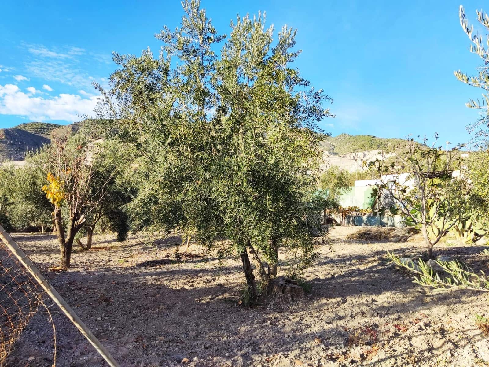 Grunde uden byggetilladelser til salg i Padul - € 250.000 (Ref: 7957731)