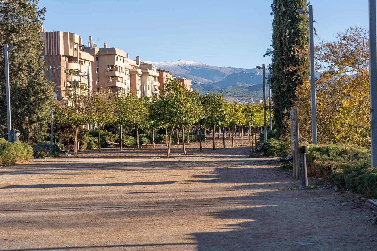 Erhverv til salg i Granada by - € 214.900 (Ref: 8016817)