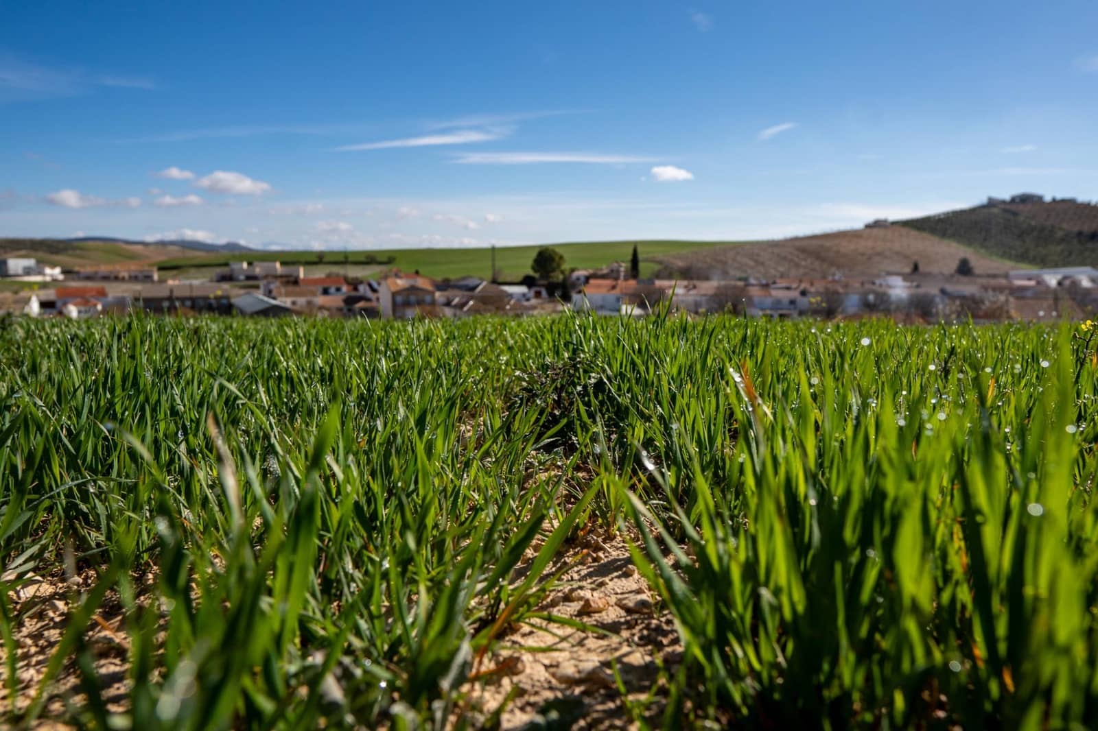 Byggetomt til salgs i Guadahortuna - € 98 000 (Ref: 8174723)