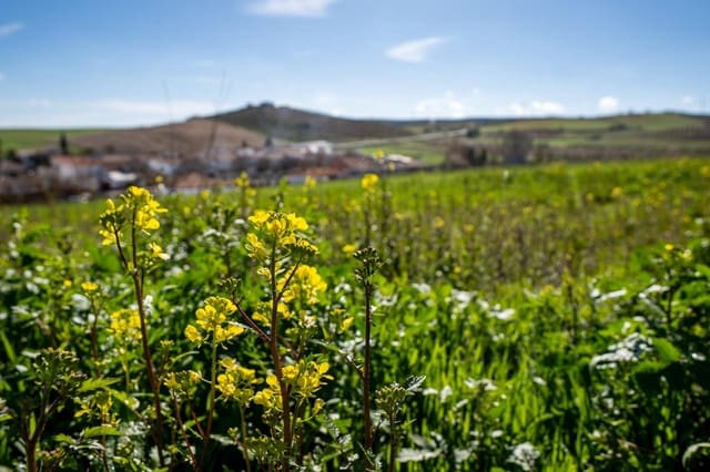 Tomt till salu i Guadahortuna - 98 000 € (Ref: 8174723)