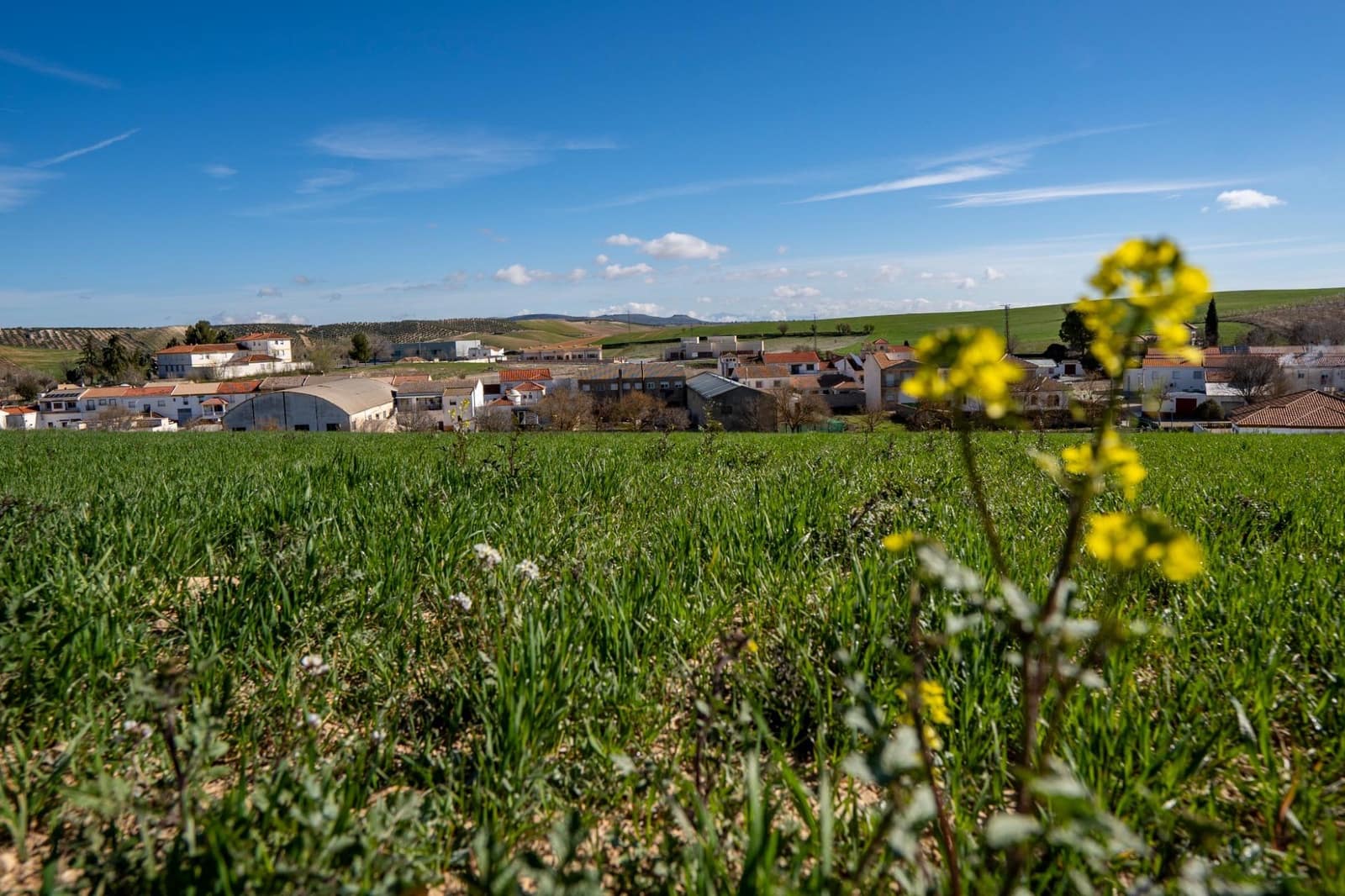 Byggetomt til salgs i Guadahortuna - € 98 000 (Ref: 8174723)