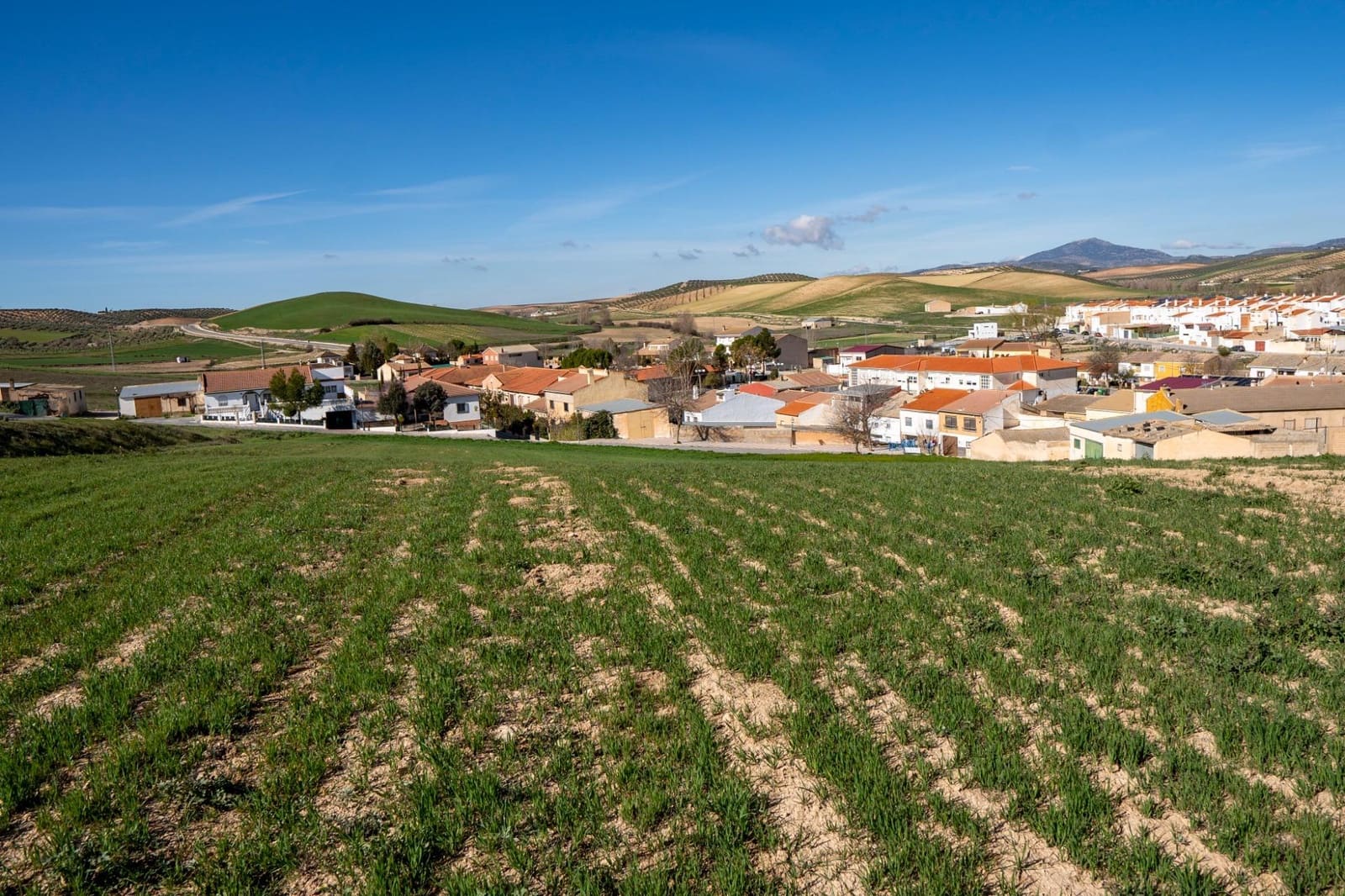 Byggetomt til salgs i Guadahortuna - € 98 000 (Ref: 8174723)