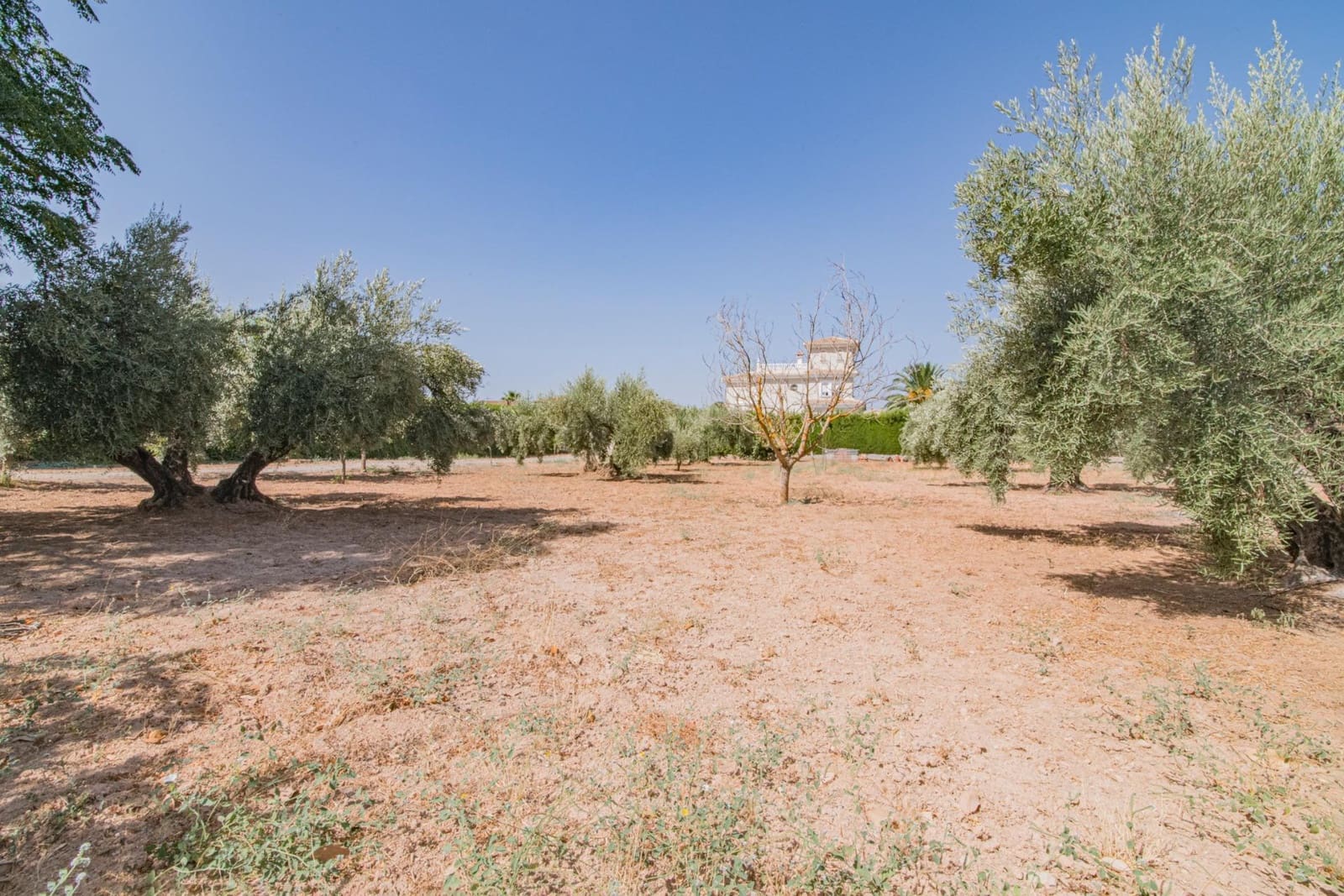 4 soverom Villa til salgs i Atarfe med svømmebasseng garasje - € 395 000 (Ref: 8511875)