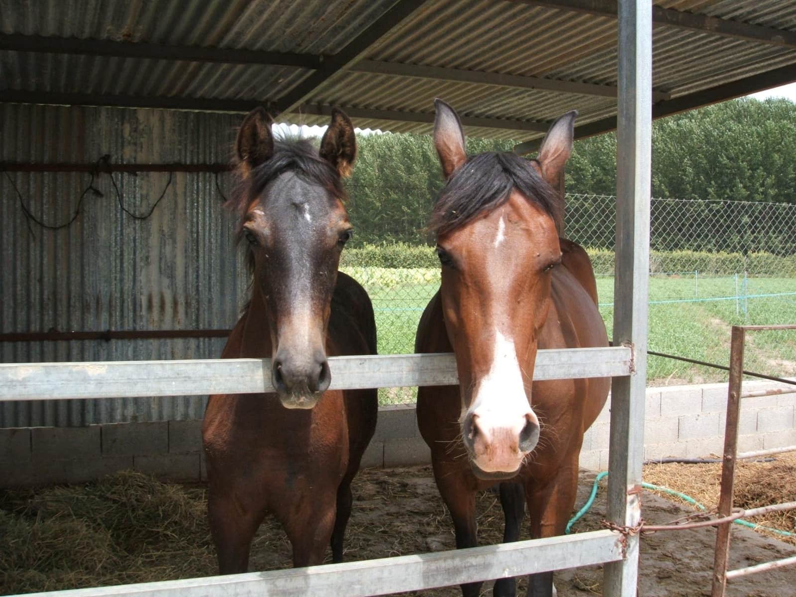 6 soveværelse Finca/Landehus til salg i Fuente Vaqueros - € 360.000 (Ref: 8610760)