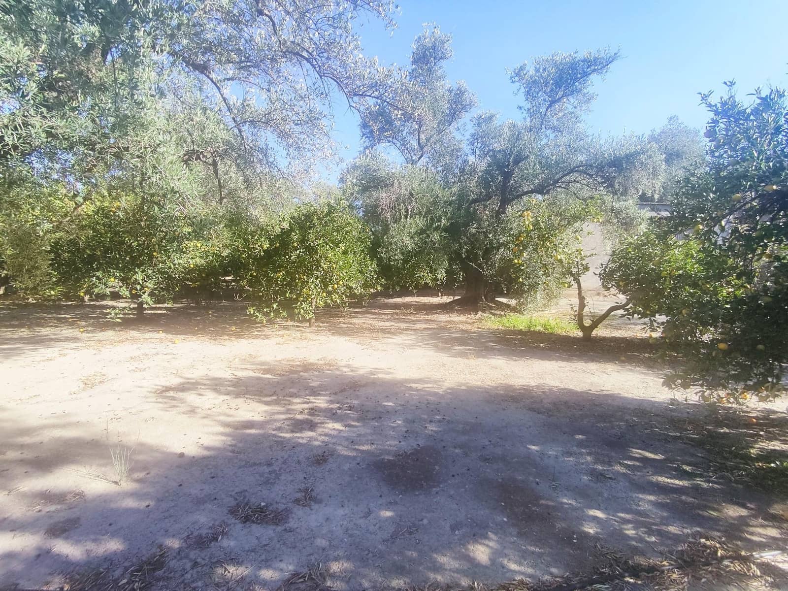 Grunde uden byggetilladelser til salg i Saleres - € 98.000 (Ref: 8615356)