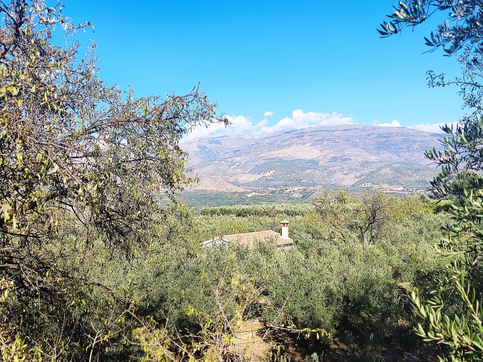 Grunde uden byggetilladelser til salg i Saleres - € 98.000 (Ref: 8615356)