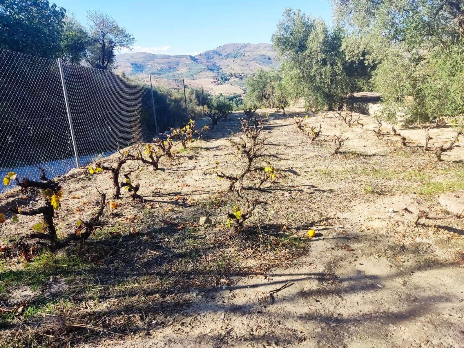 Grunde uden byggetilladelser til salg i Saleres - € 98.000 (Ref: 8615356)