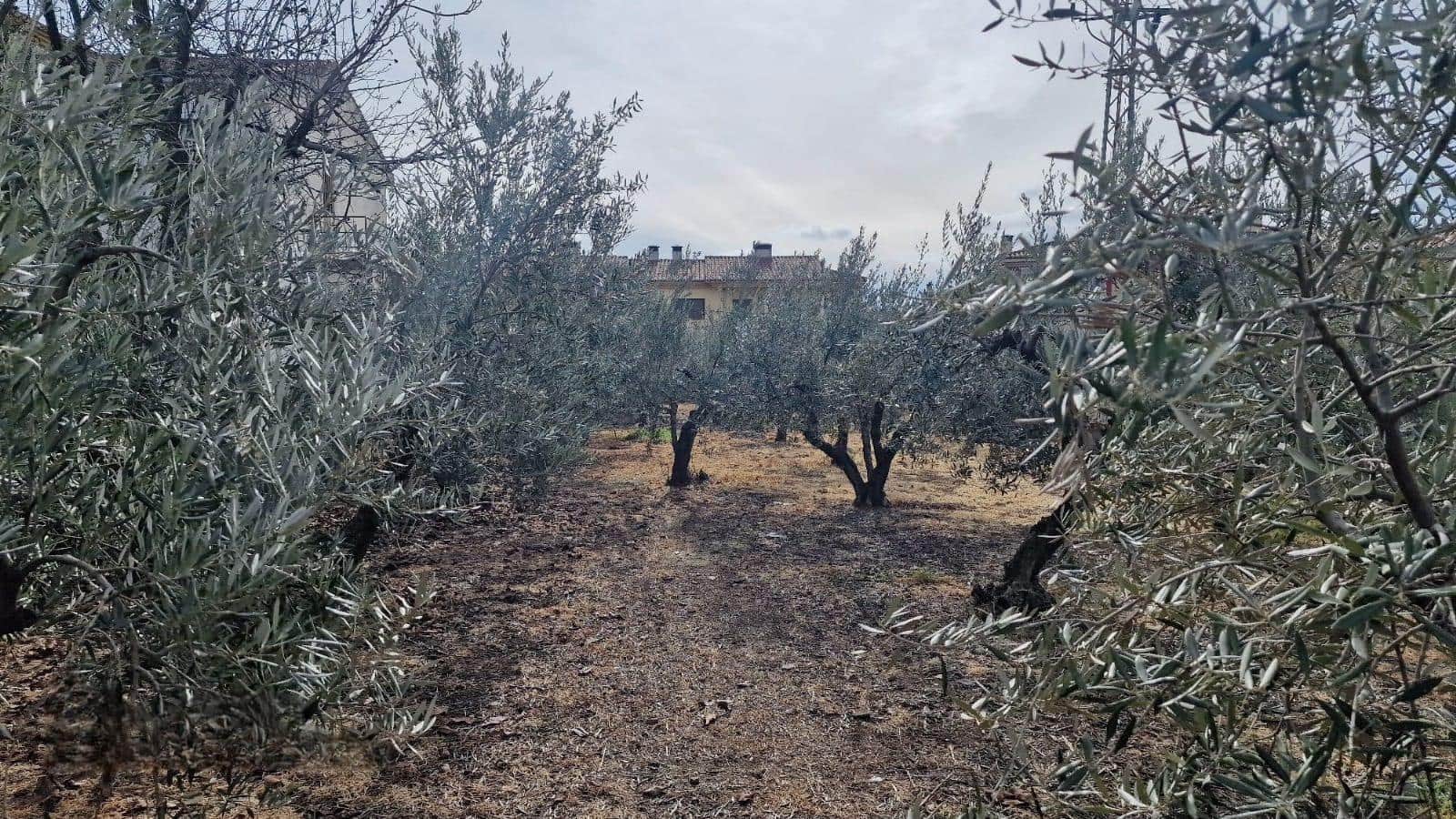 3 sypialnia Finka/Dom wiejski na sprzedaż w Alhendin - 381 100 € (Ref: 8781808)