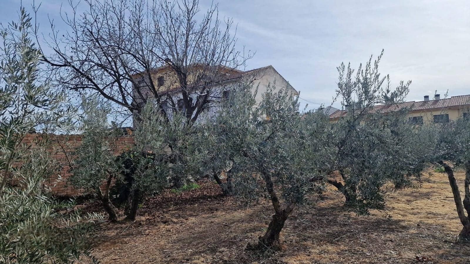 3 soverom Villa til salgs i Alhendin - € 381 100 (Ref: 8783919)