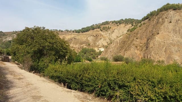 Undeveloped Land for sale in Conchar, Villamena - € 22,900 (Ref: 8818037)