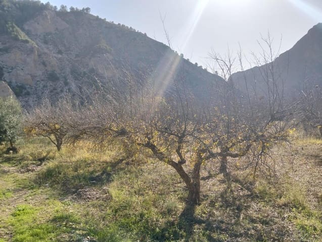 Undeveloped Land for sale in Conchar, Villamena - € 22,900 (Ref: 8818037)