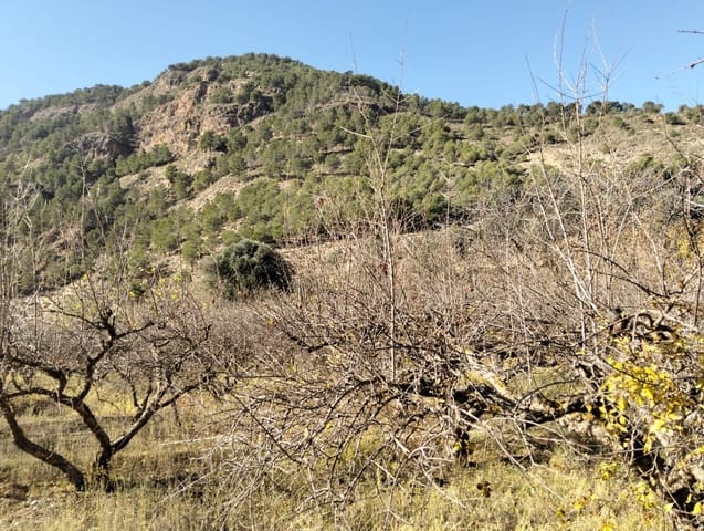 Undeveloped Land for sale in Conchar, Villamena - € 22,900 (Ref: 8818037)