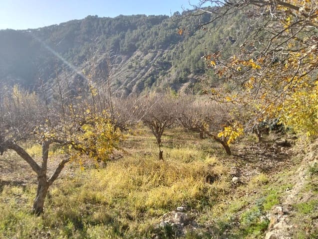 Undeveloped Land for sale in Conchar, Villamena - € 22,900 (Ref: 8818037)