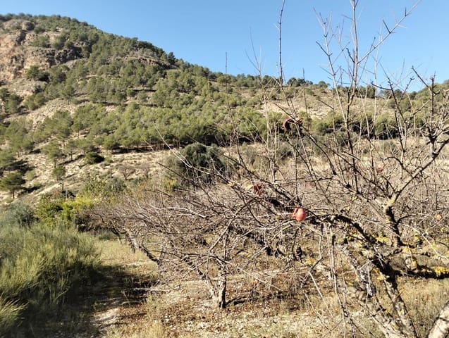 Undeveloped Land for sale in Conchar, Villamena - € 22,900 (Ref: 8818037)