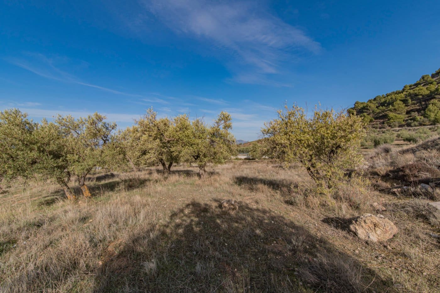 Byggetomt til salgs i Nivar - € 45 000 (Ref: 8874843)