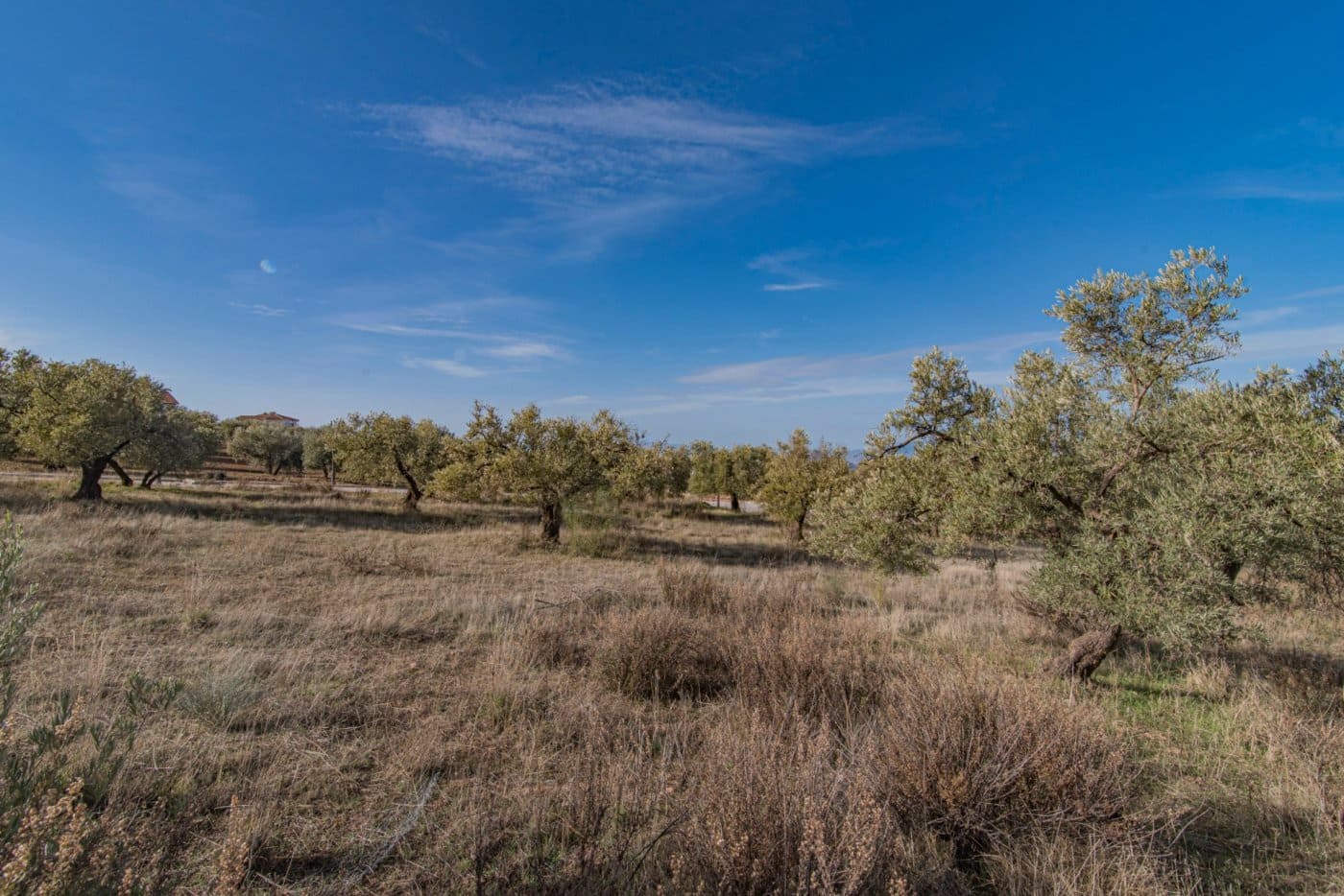 Byggetomt til salgs i Nivar - € 45 000 (Ref: 8874843)