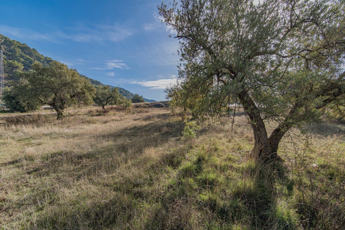 Byggetomt til salgs i Nivar - € 45 000 (Ref: 8874843)