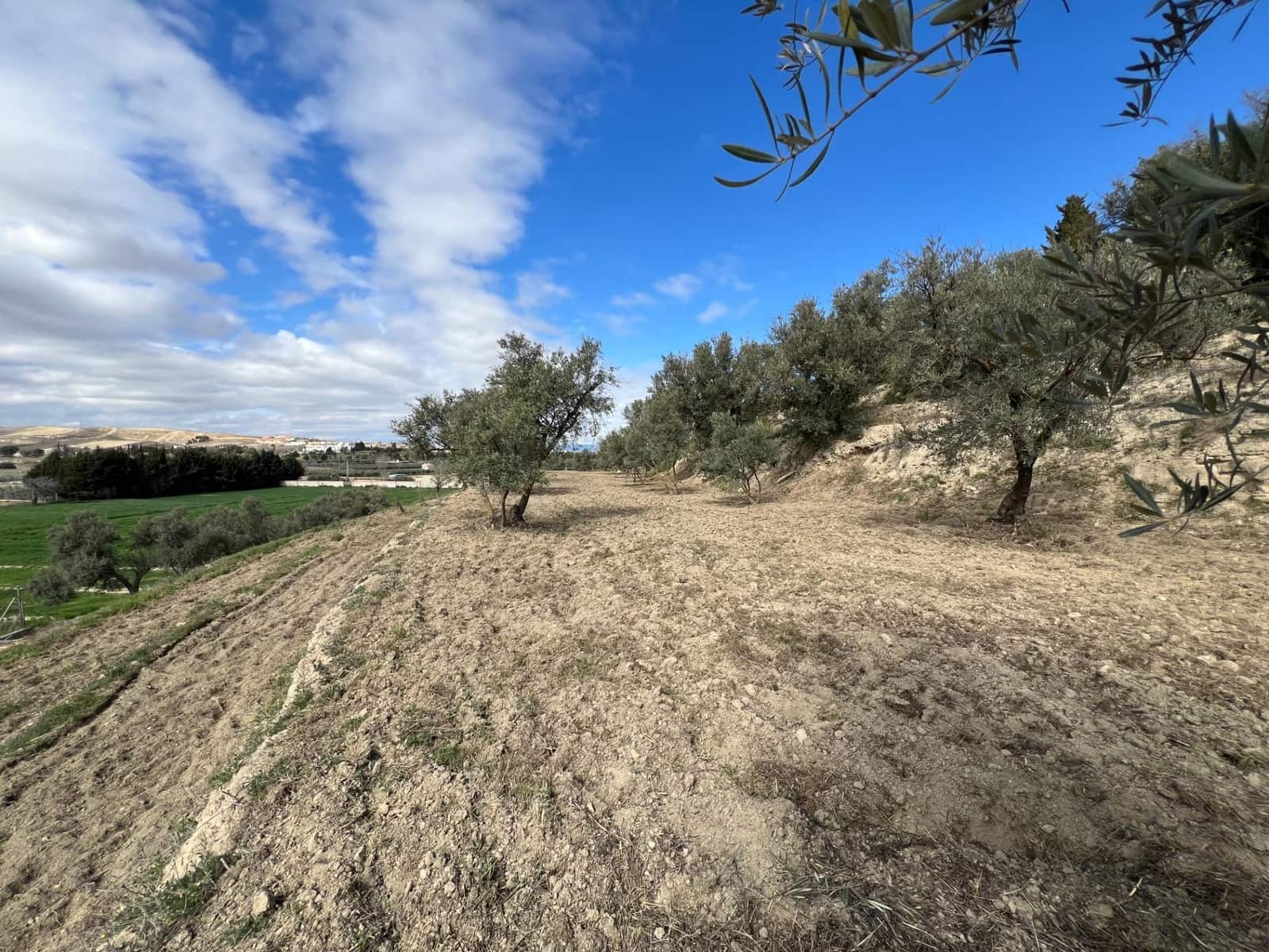 Area Edificabile in vendita in Alhendin - 48.000 € (Rif: 8874848)