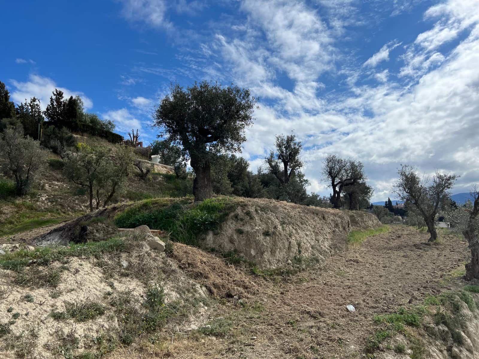 Area Edificabile in vendita in Alhendin - 48.000 € (Rif: 8874848)