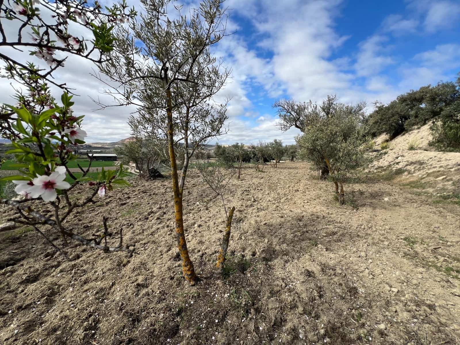 Area Edificabile in vendita in Alhendin - 48.000 € (Rif: 8874848)