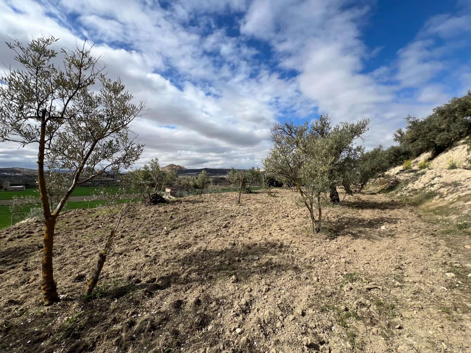 Area Edificabile in vendita in Alhendin - 48.000 € (Rif: 8874848)