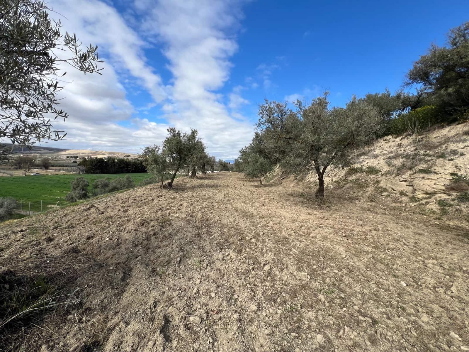 Area Edificabile in vendita in Alhendin - 48.000 € (Rif: 8874848)